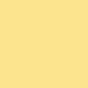 U15192 - Sunflower