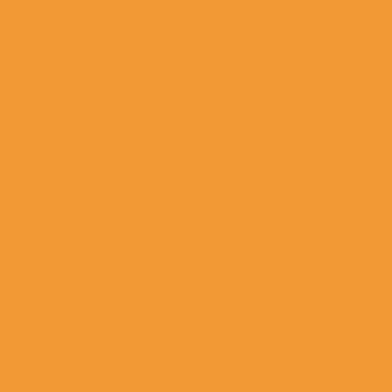U16009 - Golden Orange