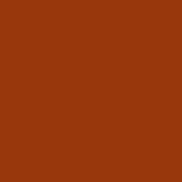 U16166 - Salsa