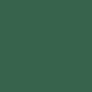 U19002 - Ivy