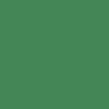 U19005 - Jade
