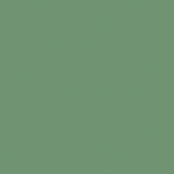 U19007 - Agave