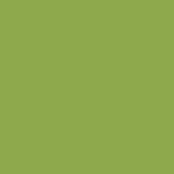 U19501 - Granny Smith