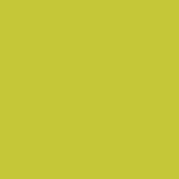 U19509 - Olive