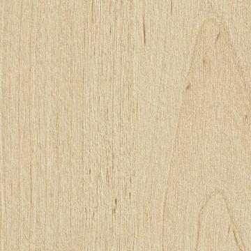 R35018 - Lund Birch