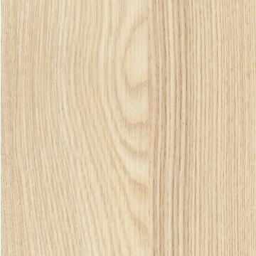 R38002 - Acacia