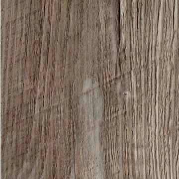 R55004 - Ponderosa Pine