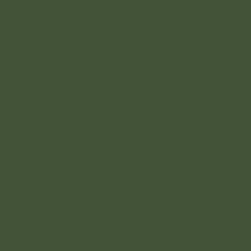 U19008 - Labrador